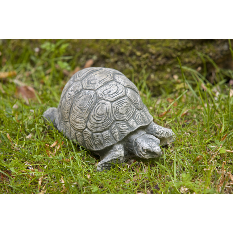Campania International, Inc Small Turtle Statue & Reviews Perigold